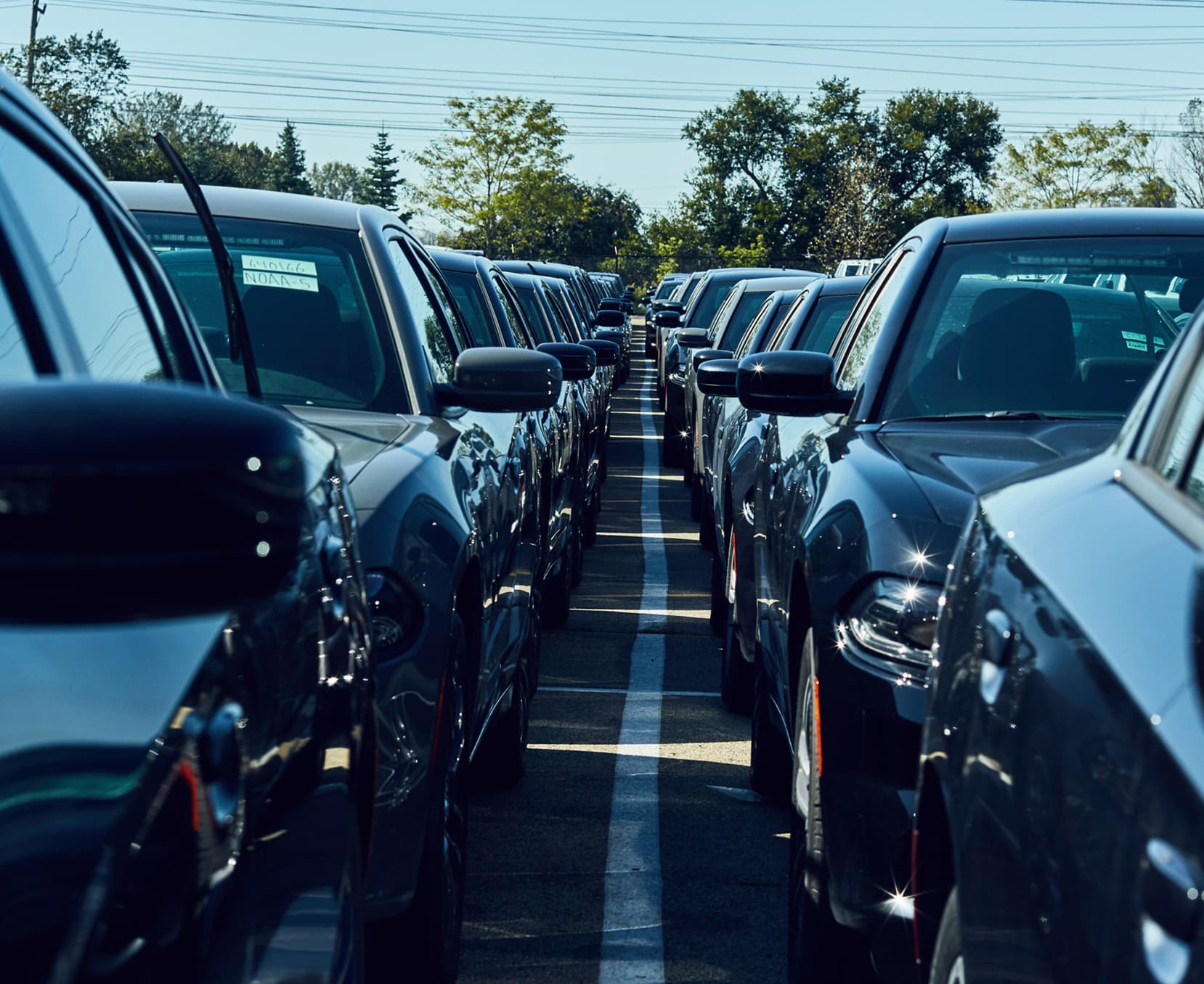 New car parking lot