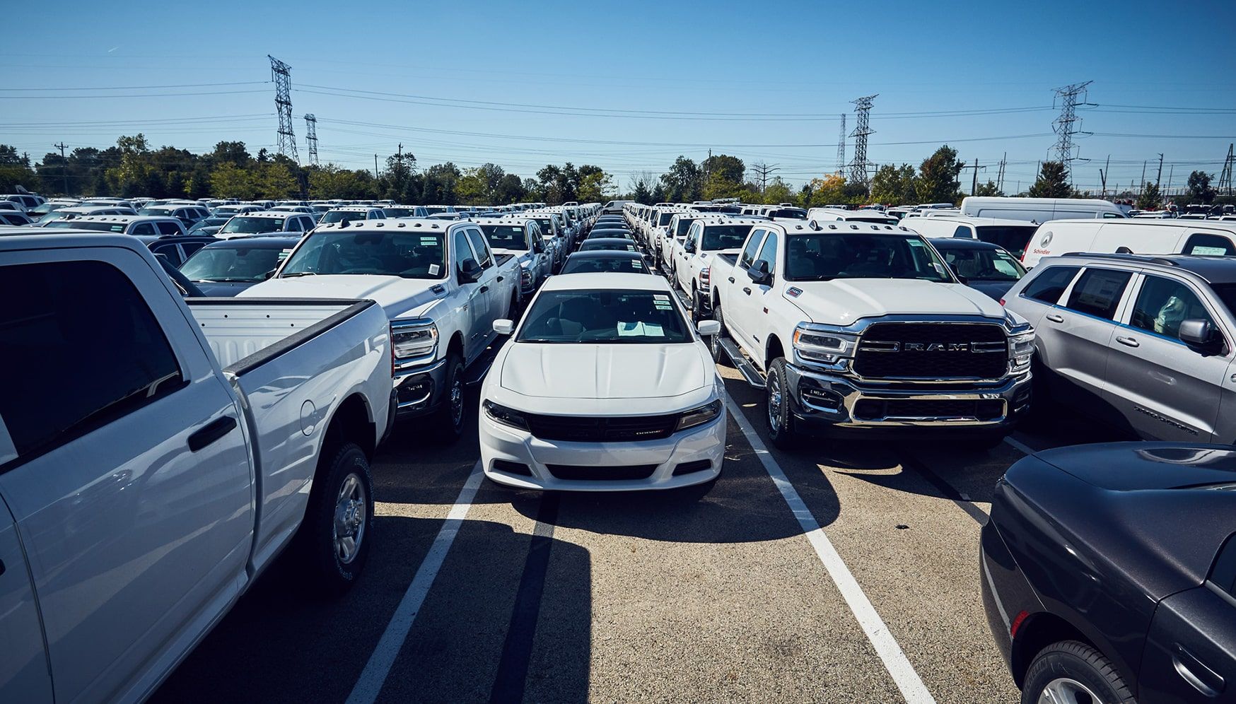 a group of white cars in a parking lot