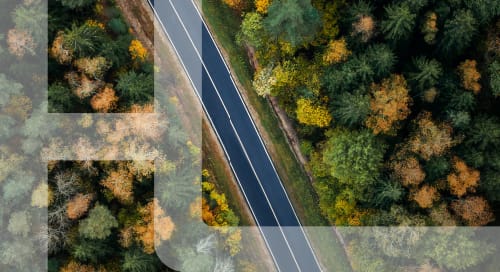 a road with trees around it