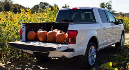 Experience the Great Outdoors with the Powerful Ford F-150